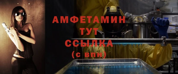 СК Алексин