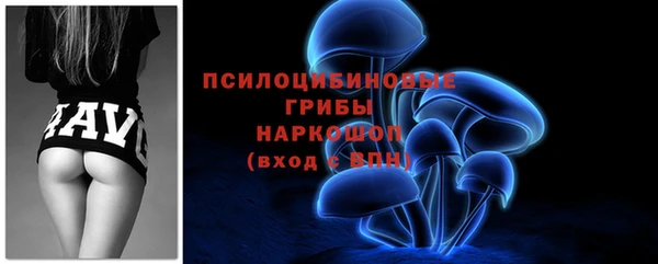 СК Алексин