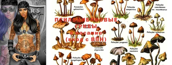 наркотики Каменногорск