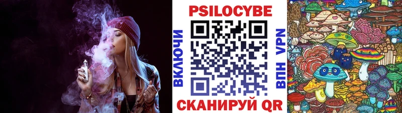Псилоцибиновые грибы Magic Shrooms  Бердск 