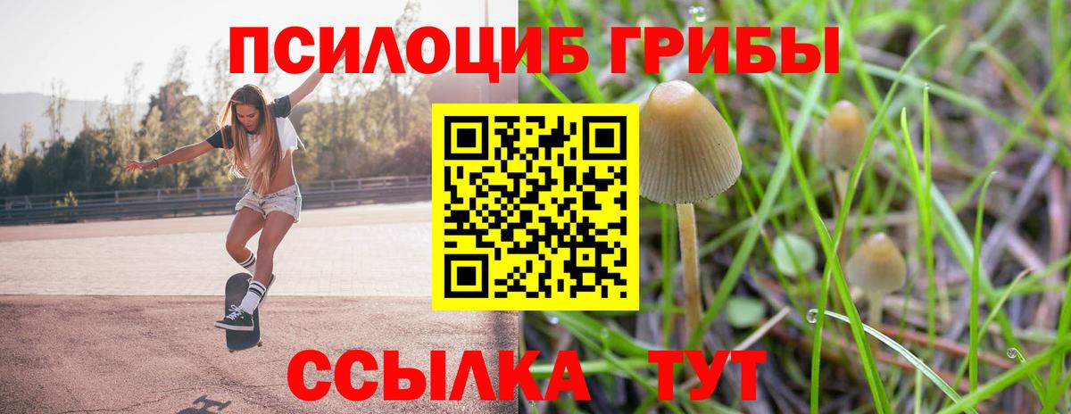 Галлюциногенные грибы ЛСД  Вход с VPN  Бердск 