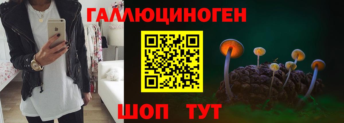 Галлюциногенные грибы мухоморы Бердск